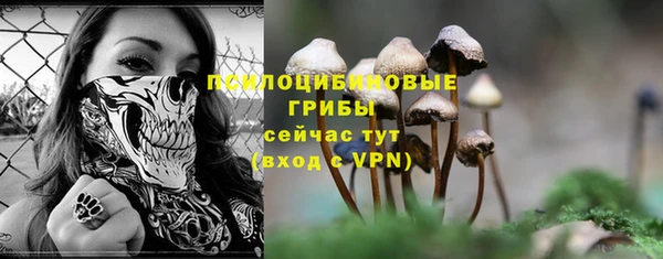 хмурый Касимов