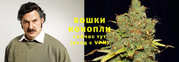 spice Карпинск