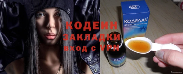 хмурый Касимов