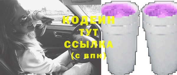 spice Карпинск