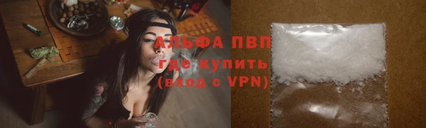 spice Карпинск