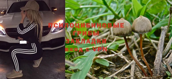 мдпв Карталы