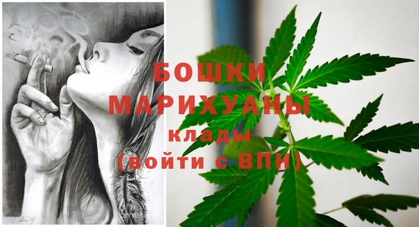 spice Карпинск