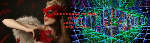 хмурый Касимов